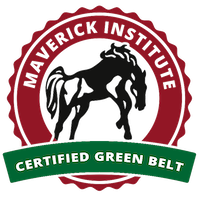 Maverick Institute Green Belt Badge